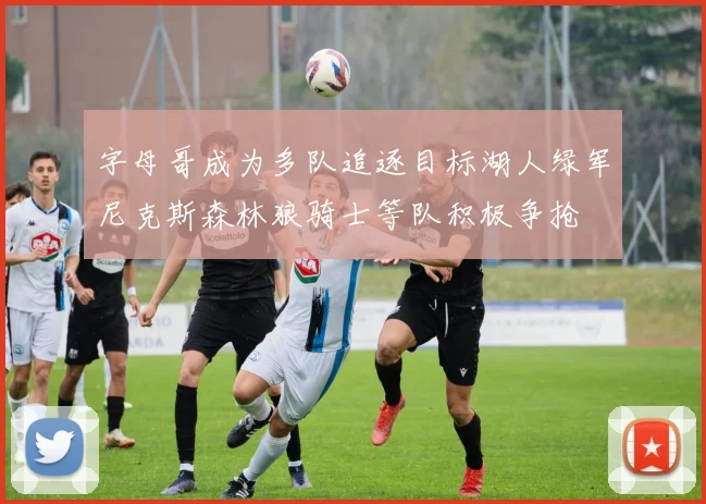 字母哥成为多队追逐目标湖人绿军尼克斯森林狼骑士等队积极争抢