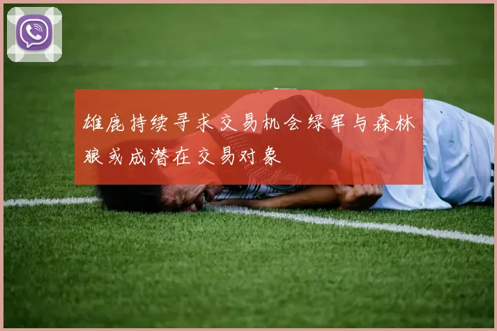 雄鹿持续寻求交易机会绿军与森林狼或成潜在交易对象
